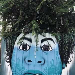 Meet your Posher, Senior